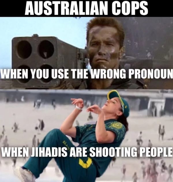 Albo Meme Zone Saturday - these are some of the best I've found