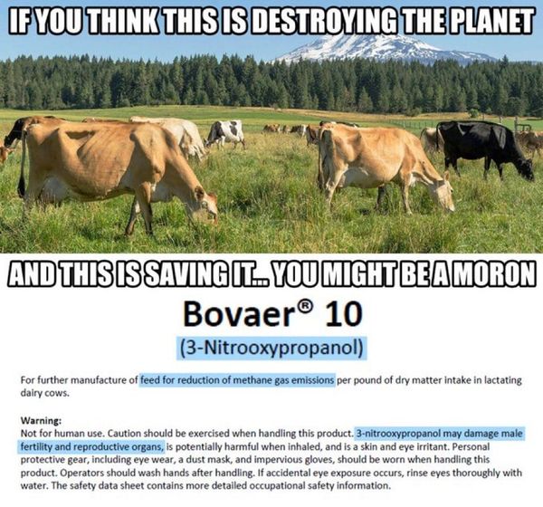 Breaking Alert! If you buy meat at Coles, you might want to reconsider