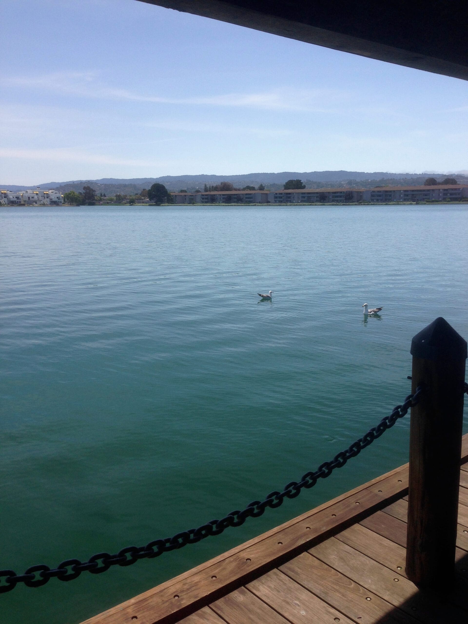 Year in Review – 2014