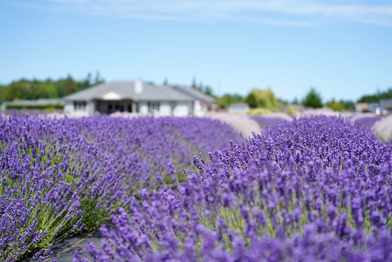 The Dying Art of Photography