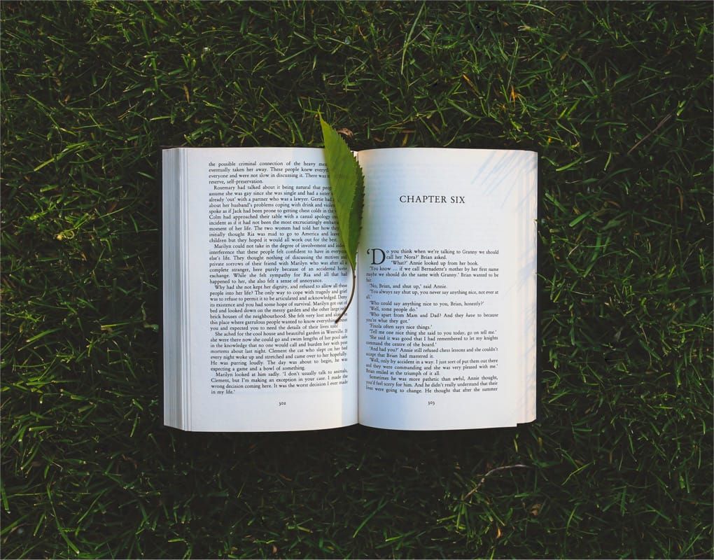 The Persistence of Printed Books