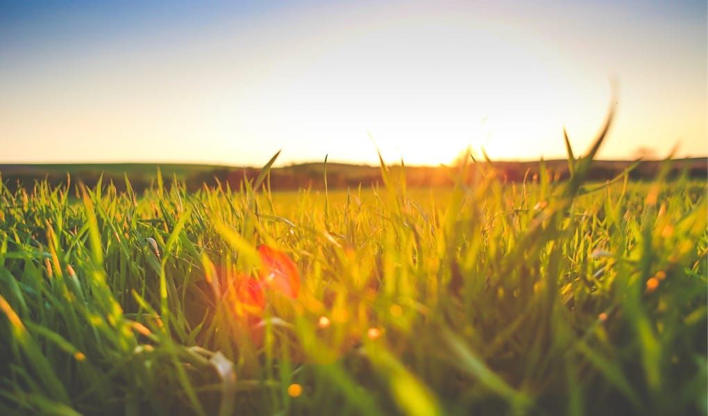 The Greener Grass on the Management Side