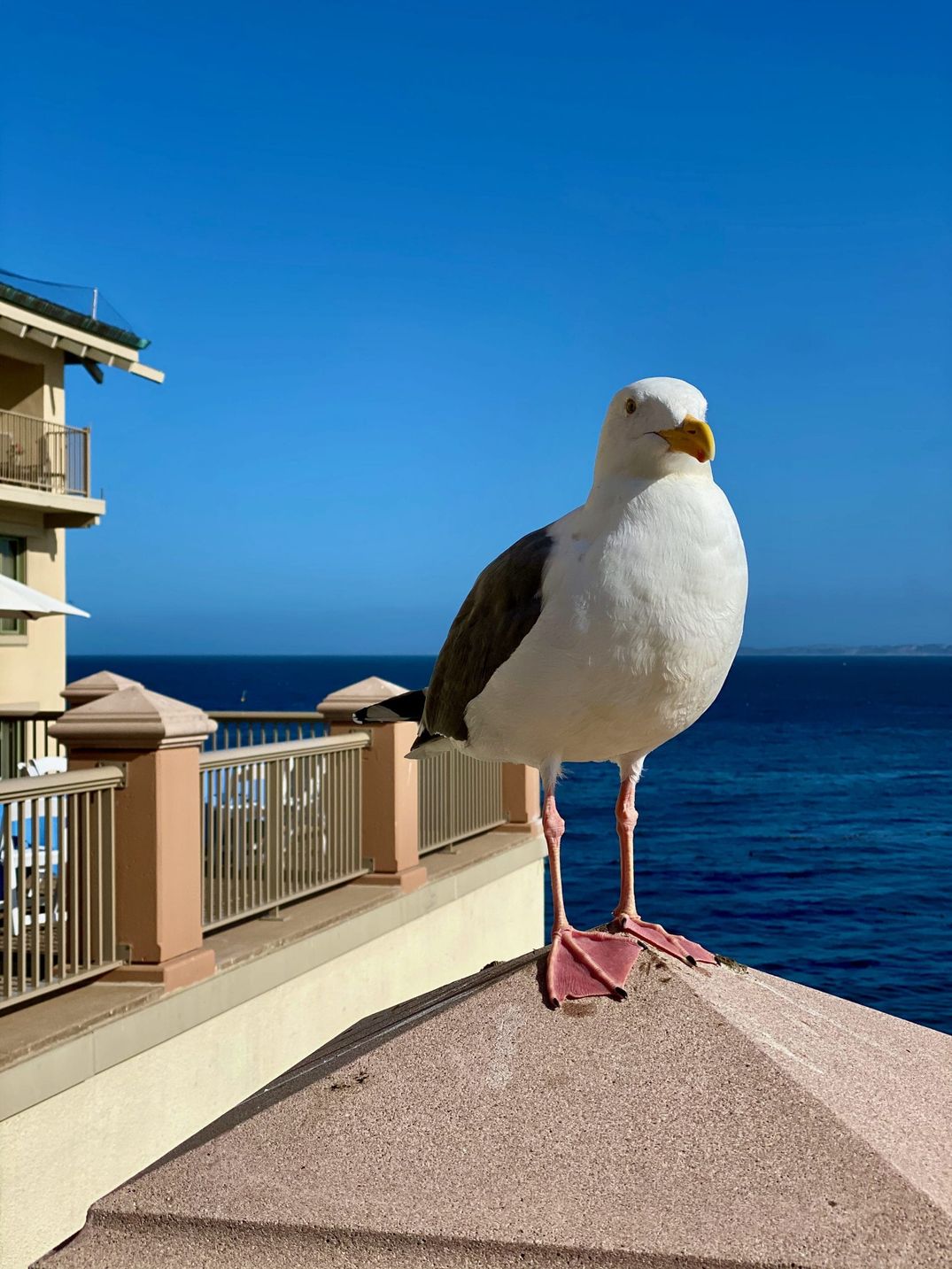 Year in Review — 2019