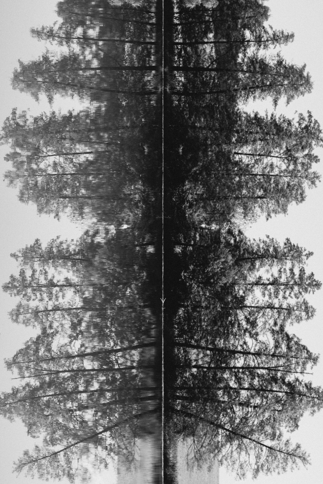 All-Encompassing Management