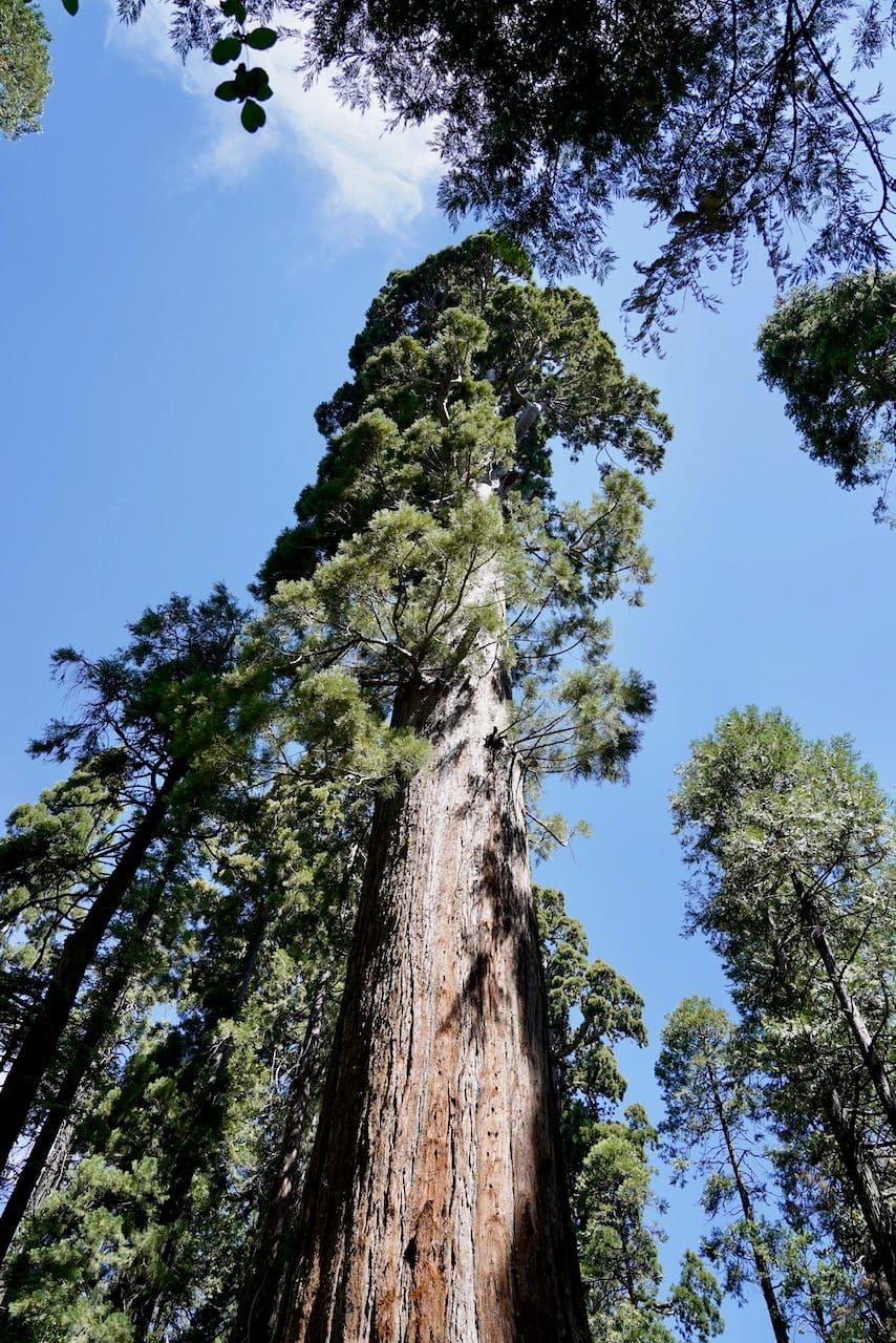 Year in Review — 2022