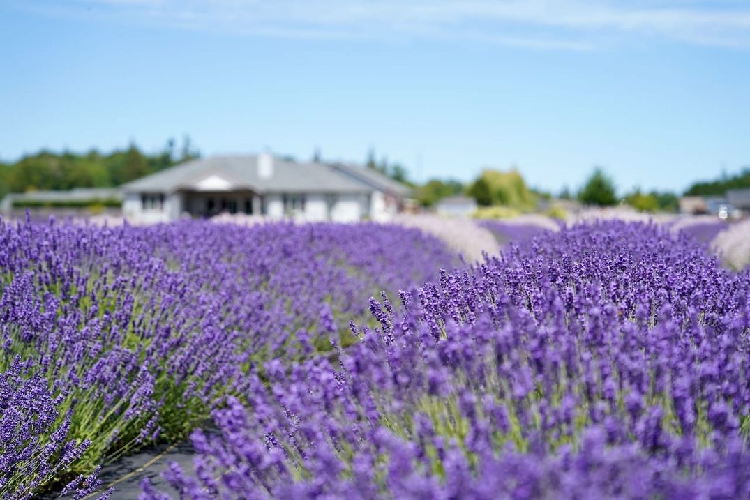 The Dying Art of Photography