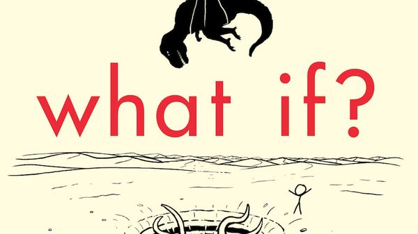 Image of: What If?