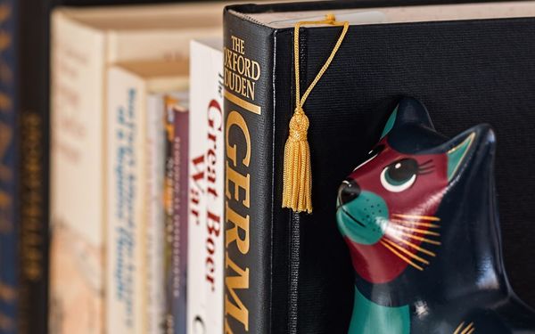 Image of: How to Read