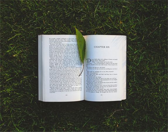 Image of: The Persistence of Printed Books