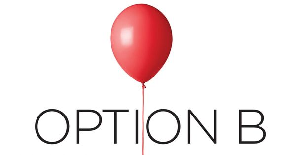 Image of: Review: Option B