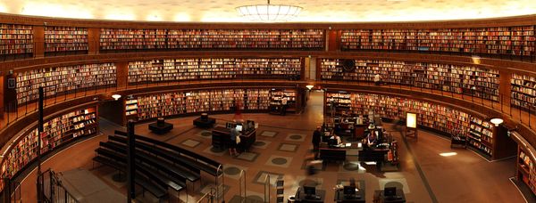 Image of: The Library is Awesome
