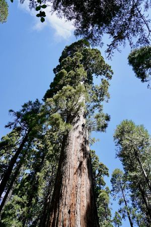 Image of: Year in Review — 2022