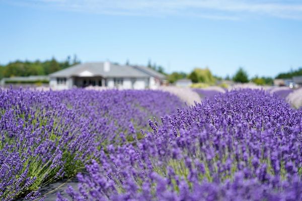 Image of: The Dying Art of Photography