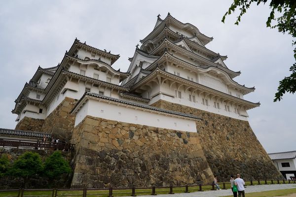 Image of: Year in Review — 2024