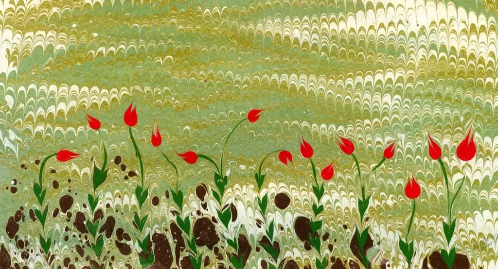 Ebru Rengi Ebru