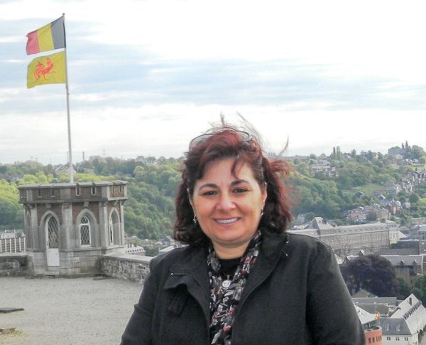 Belçika Sergisi (2012)