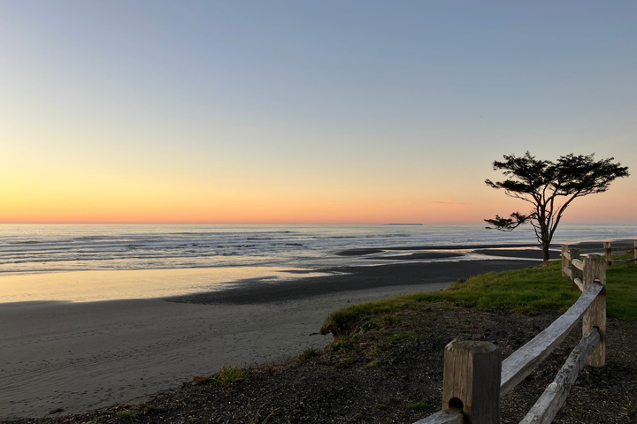 Work In Progress (February '26)