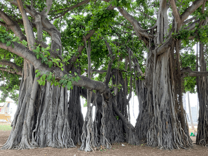 Work in Progress (March '26)