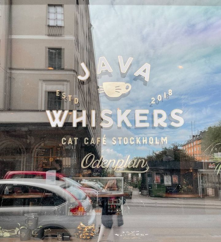 java-whiskers-stockholm