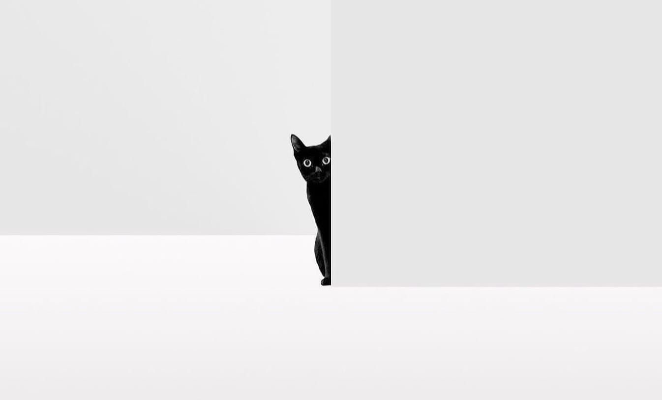 You’re saying sorry too much