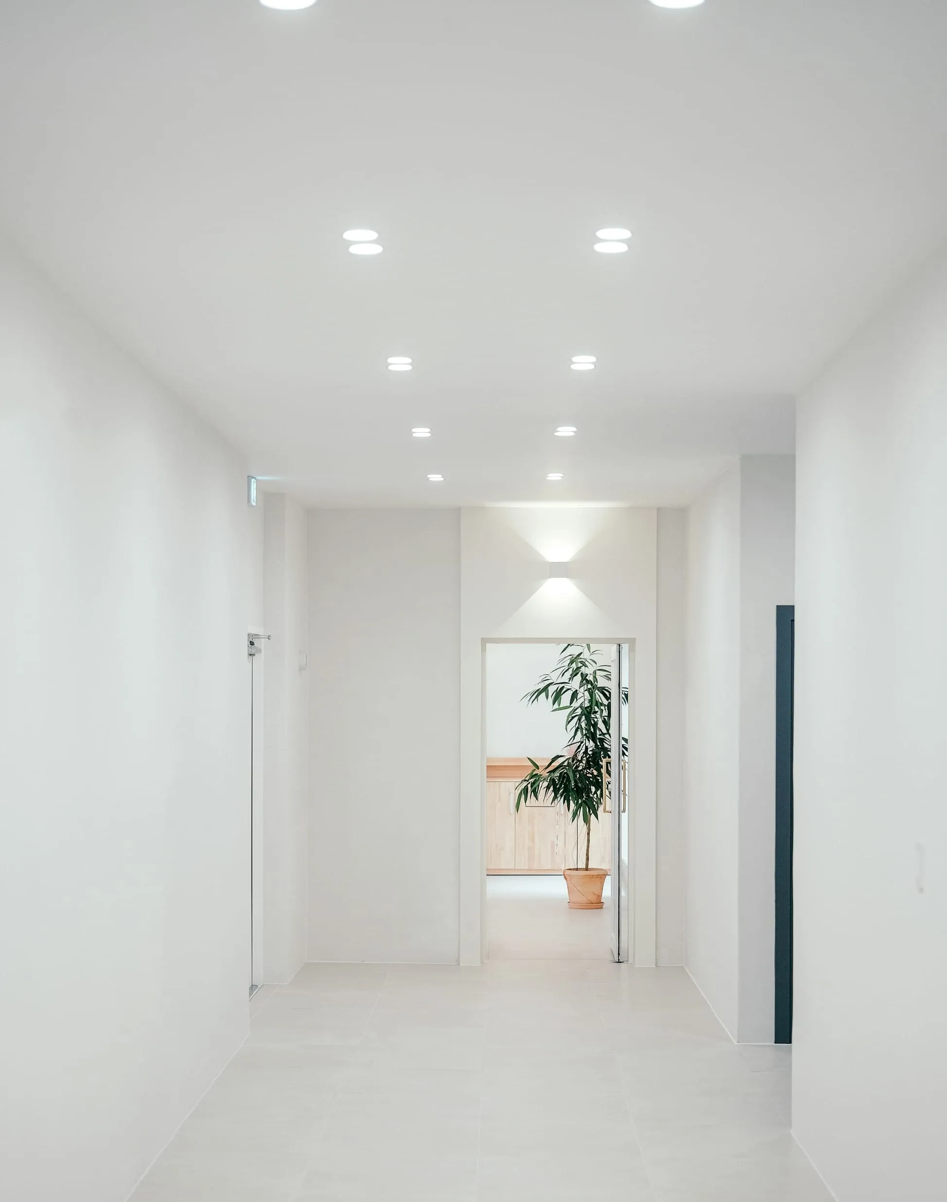 Quel éclairage choisir pour une entrée sombre ? Les meilleures options Image de l’article