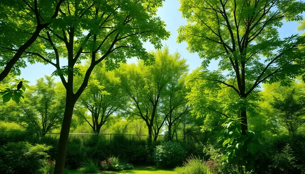 Jardin luxuriant avec de grands arbres, feuillage dense et vert, lumière du soleil filtrant
