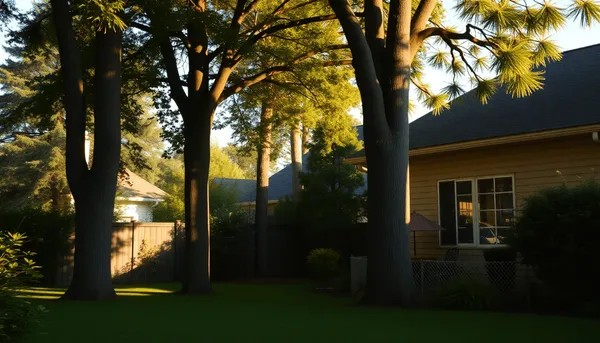 Un jardin avec de grands arbres projetant de longues ombres sur une maison et un jardin voisins