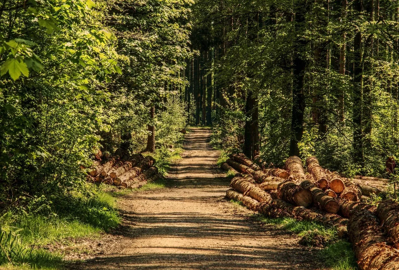 Loisirs nature à moins d'une heure de Paris : un week-end en van en Essonne Image mise en avant de l’article