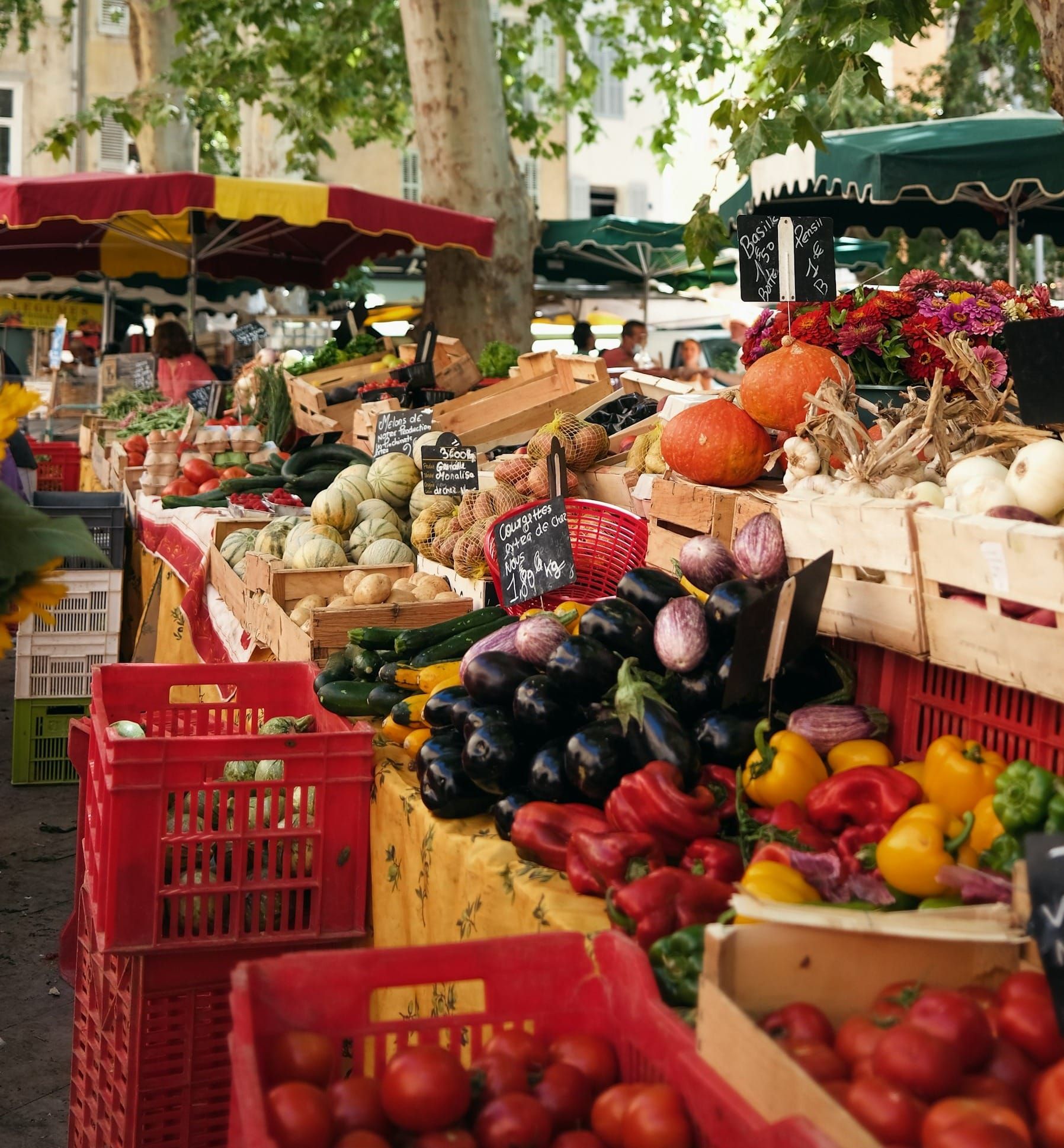 Que faire à Carpentras : les 12 meilleures activités Image de l’article