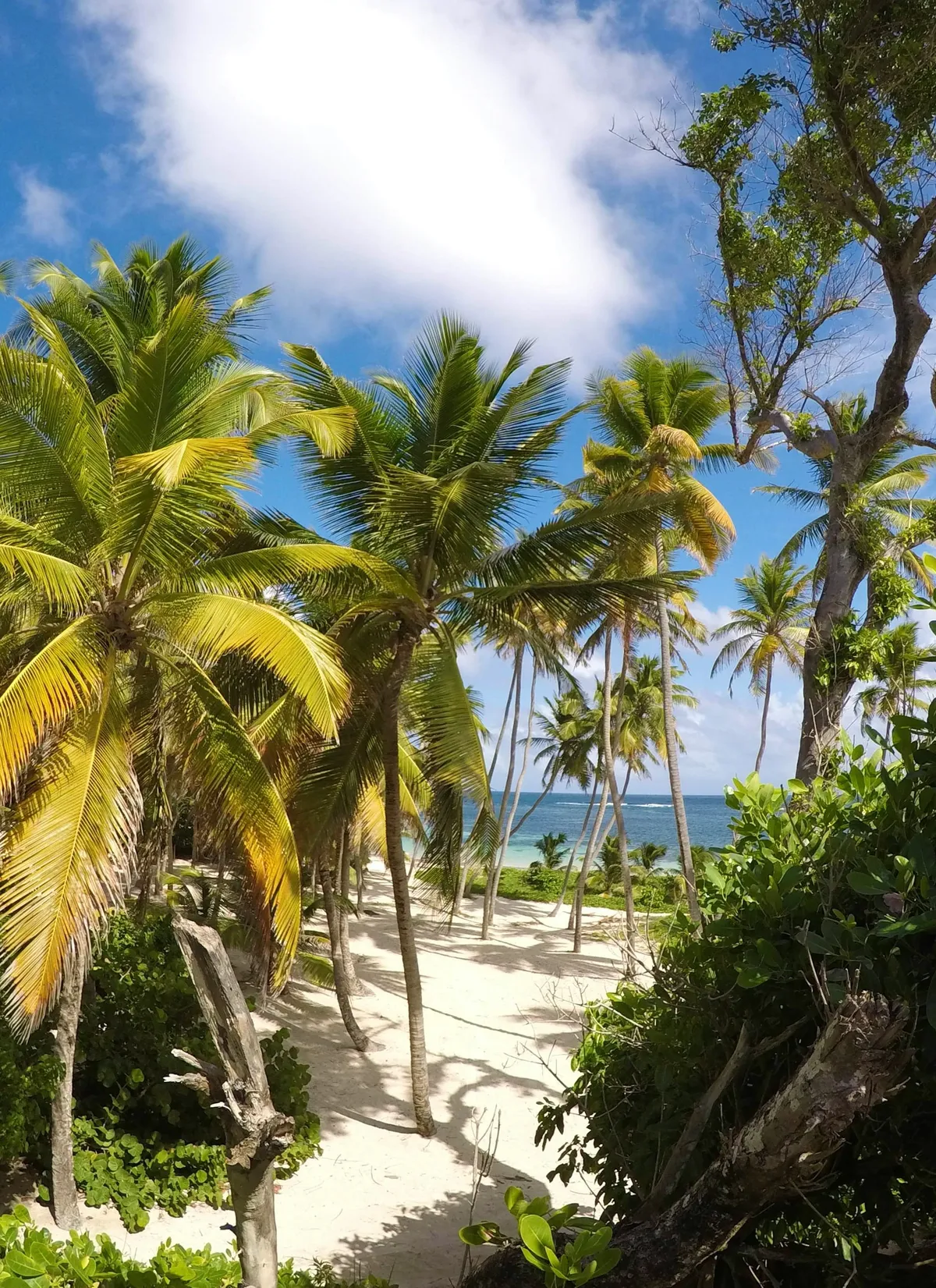 Les 10 plus belles plages de Martinique