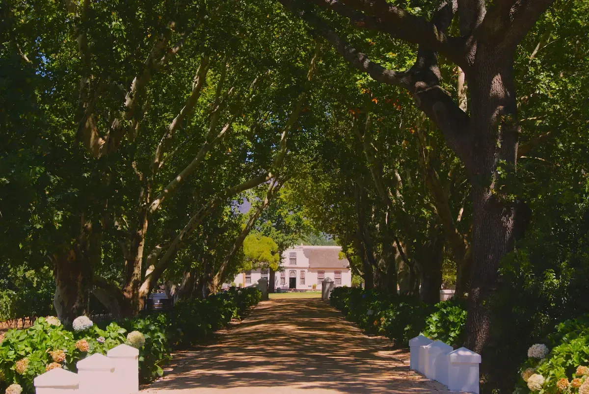 Que faire à Franschhoek : Top 25 des visites et expériences