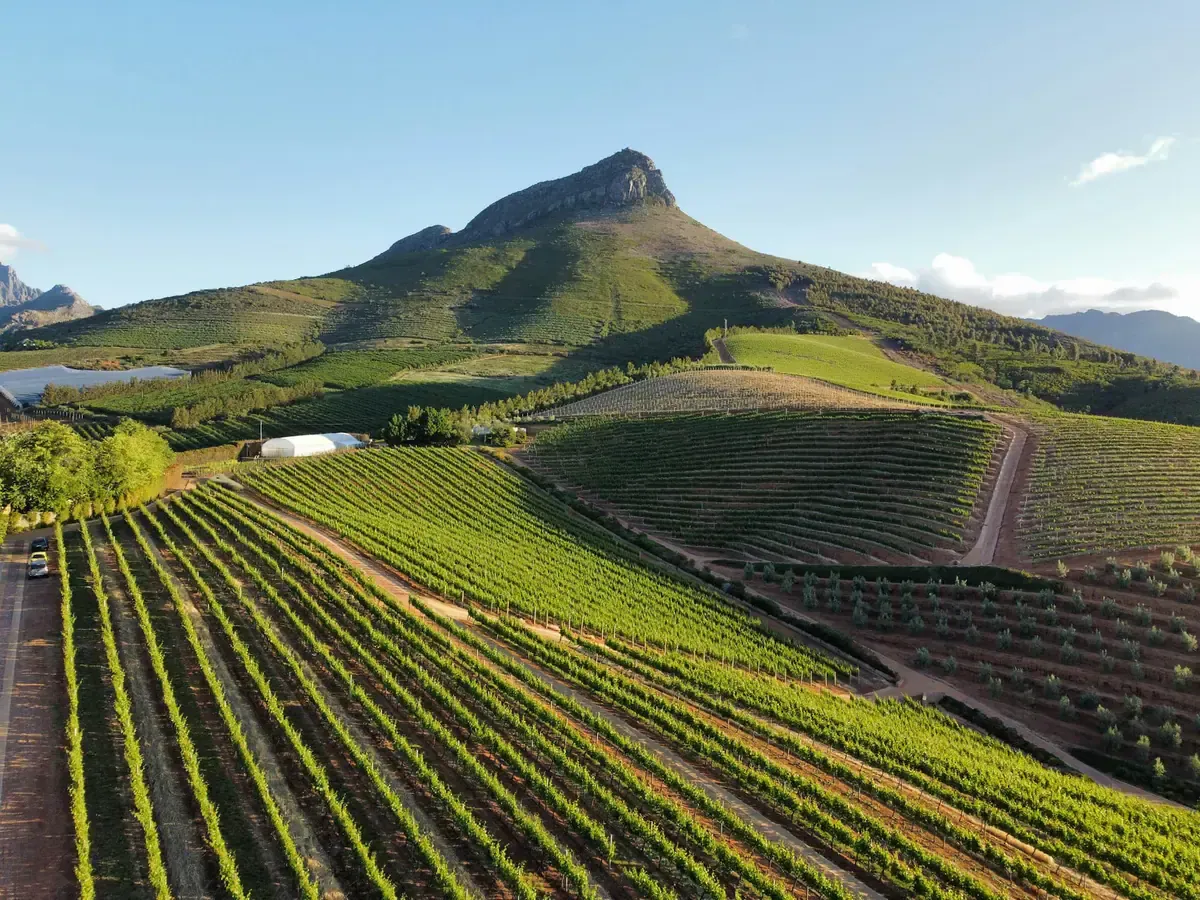 Que faire à Stellenbosch : Top 25 des visites et activités