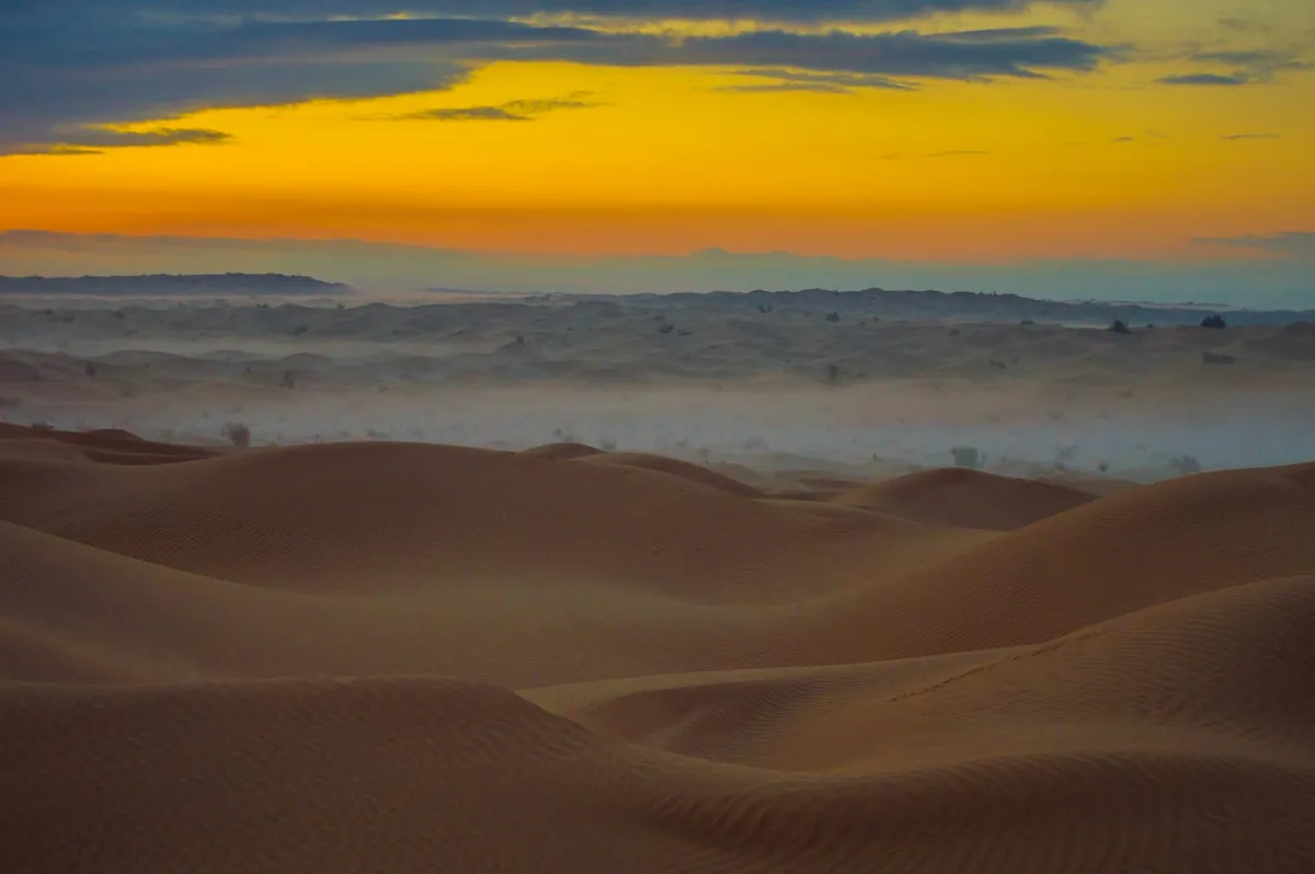 Que faire à Douz : 25 activités à faire (portes du Sahara, dromadaire, dunes)