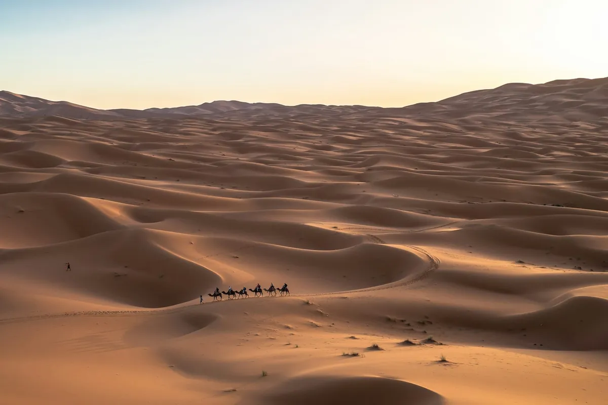 Arabie saoudite : 30 choses à voir et à faire (Riyad, AlUla, Djeddah, mer Rouge, désert)