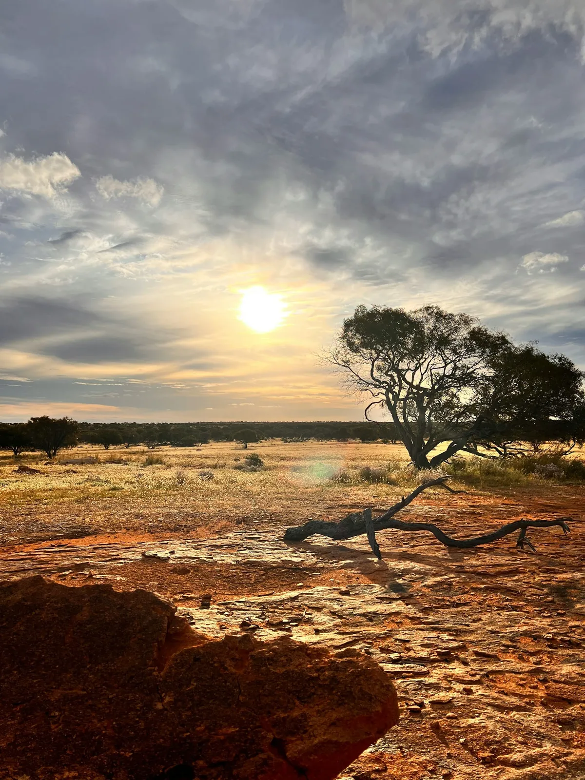 Australie : est-ce dangereux ? Faune, climat, sécurité… conseils + points de vigilance