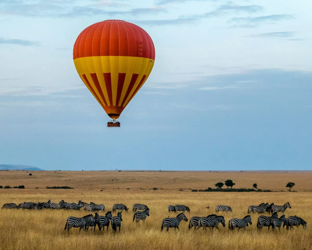 Botswana : 30 choses à voir et à faire (Okavango, Chobe, Kalahari, safaris d’exception)