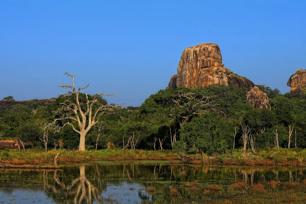 Burkina Faso : 30 choses à voir et à faire (Ouagadougou, Bobo-Dioulasso, cascades, culture, nature)
