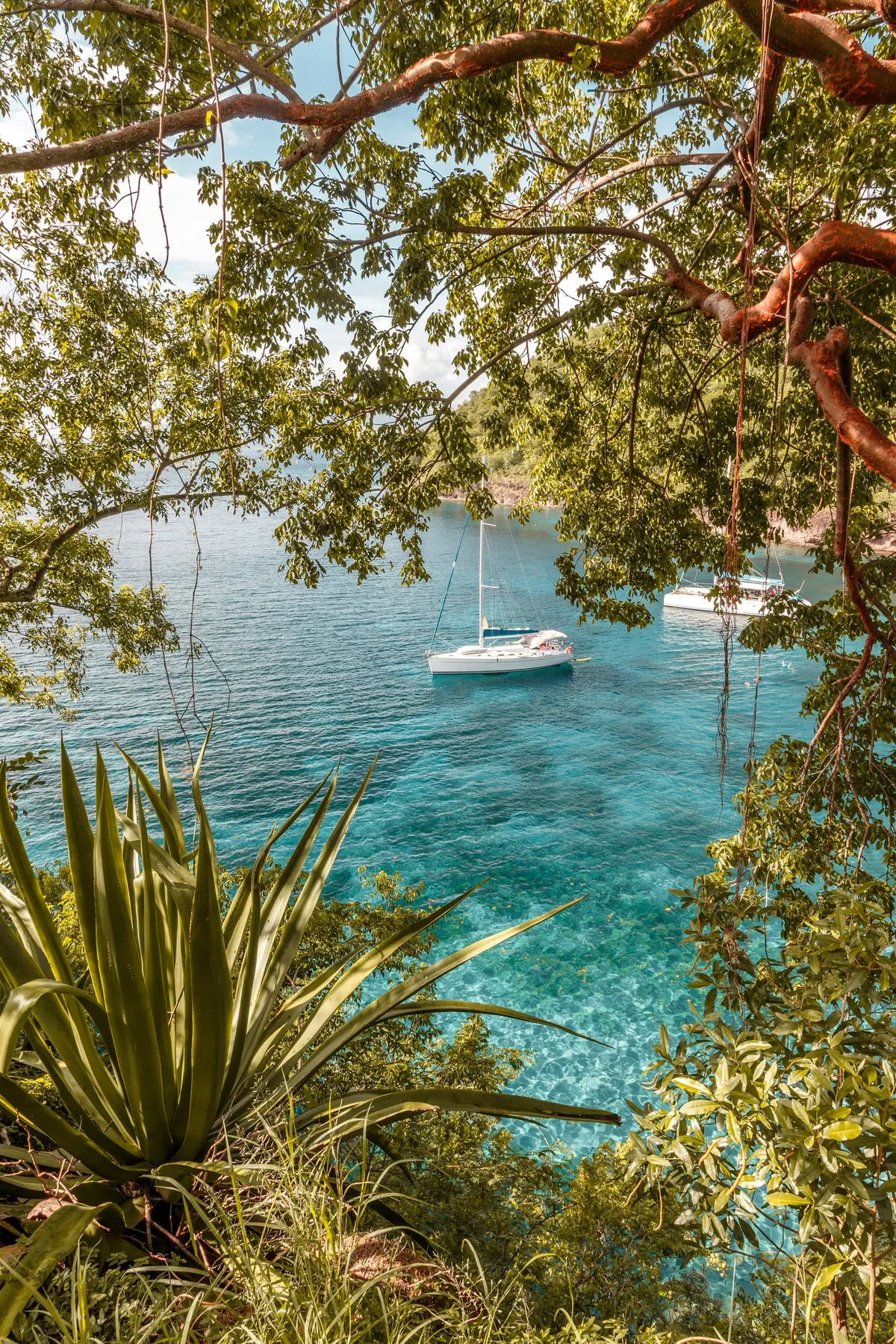 Croisière en Martinique : découvrez l’île en bateau