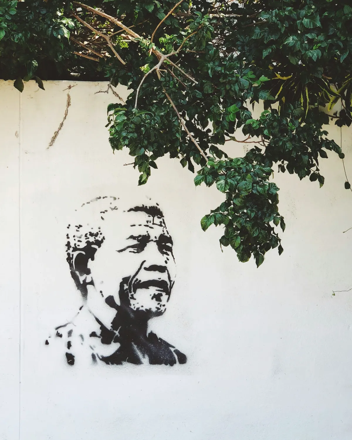 Où dormir en Afrique du Sud : meilleurs quartiers (Cape Town/Joburg) + bases safari