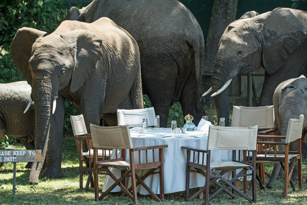 Où dormir au Botswana : meilleurs lodges (Okavango/Chobe) + options selon ton budget