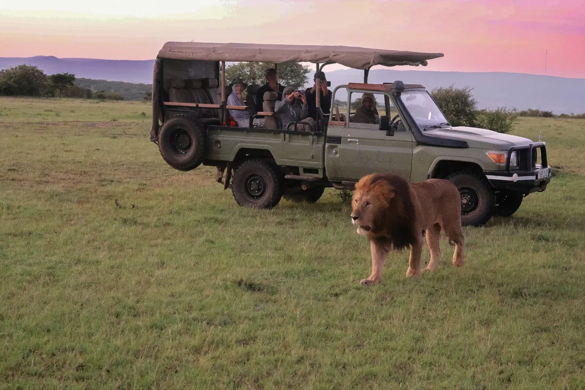 Kenya : 30 choses à voir et à faire (safaris, Maasai Mara, Amboseli, plages de Diani, Nairobi…)
