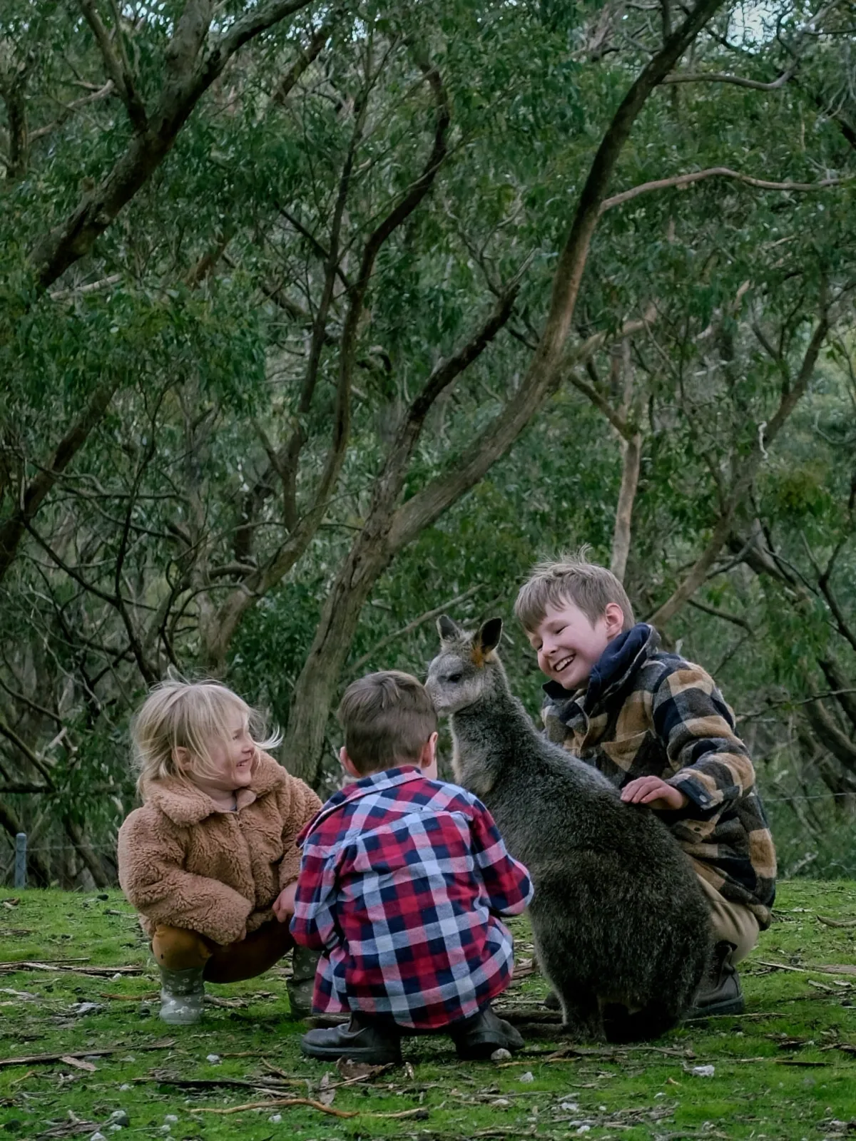 Langue en Australie : anglais australien + expressions utiles pour voyager