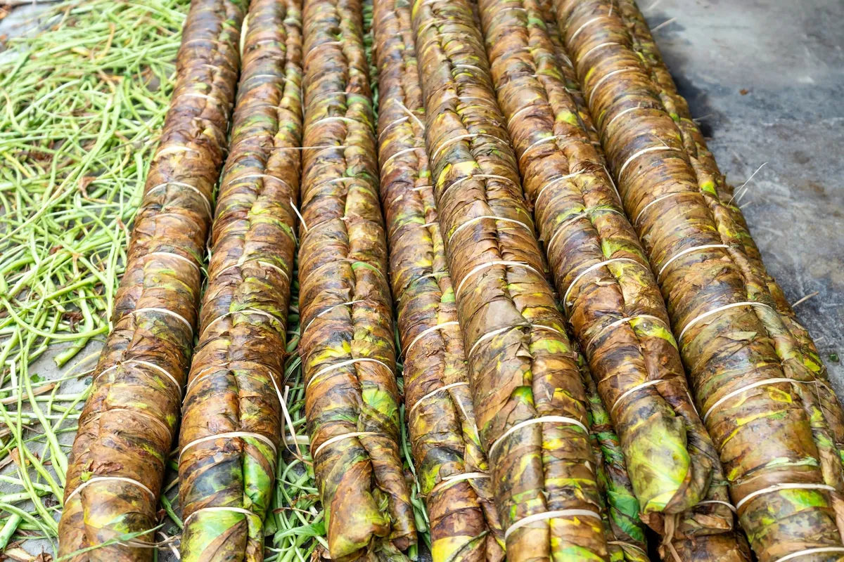 Que manger en Guinée équatoriale ? 10 spécialités à goûter (poisson, manioc, sauces…)
