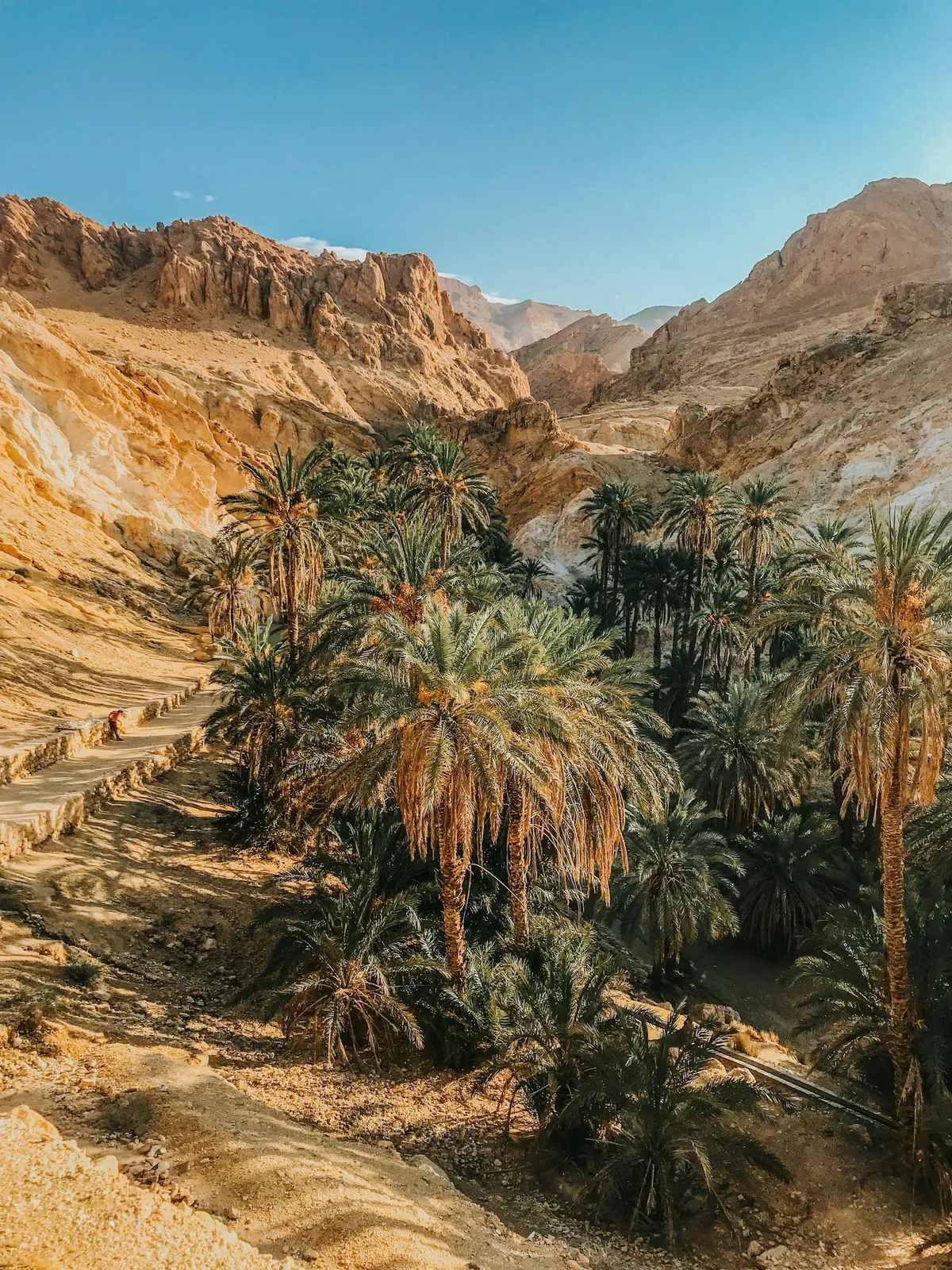 Nature en Tunisie : les plus beaux parcs nationaux et sites naturels à voir