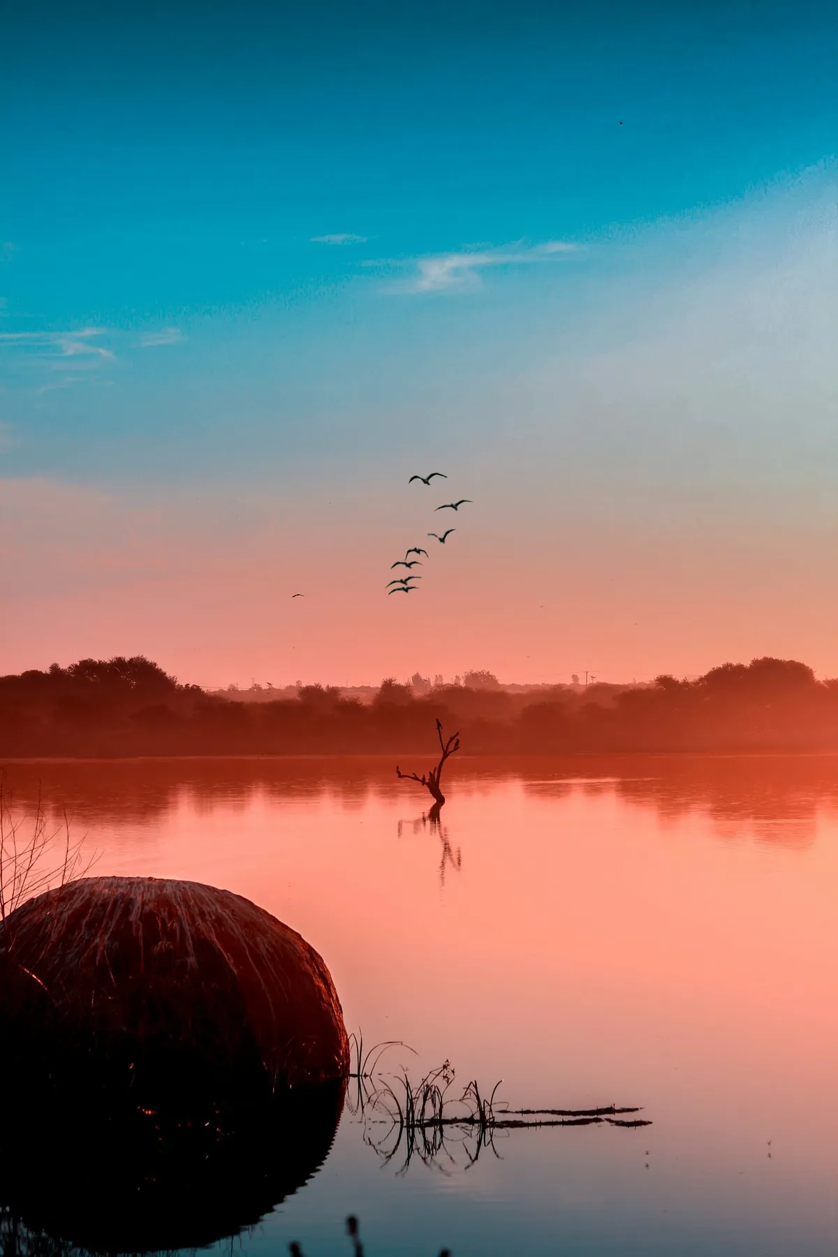 Quand partir au Botswana ? Saisons sèches/pluies, faune… le meilleur mois pour un safari