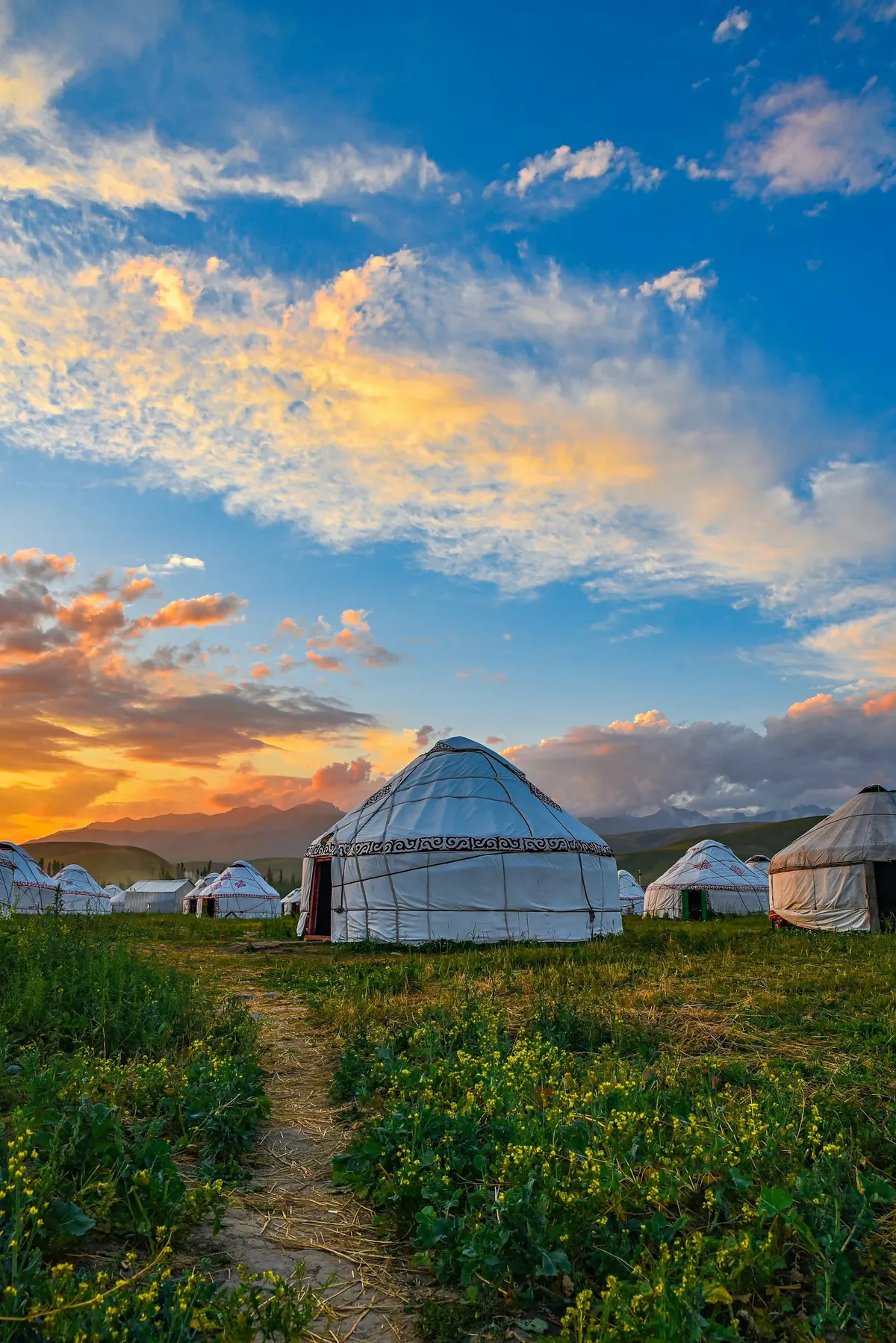 Quand partir en Mongolie ? Climat extrême, saisons… le meilleur mois selon ton aventure