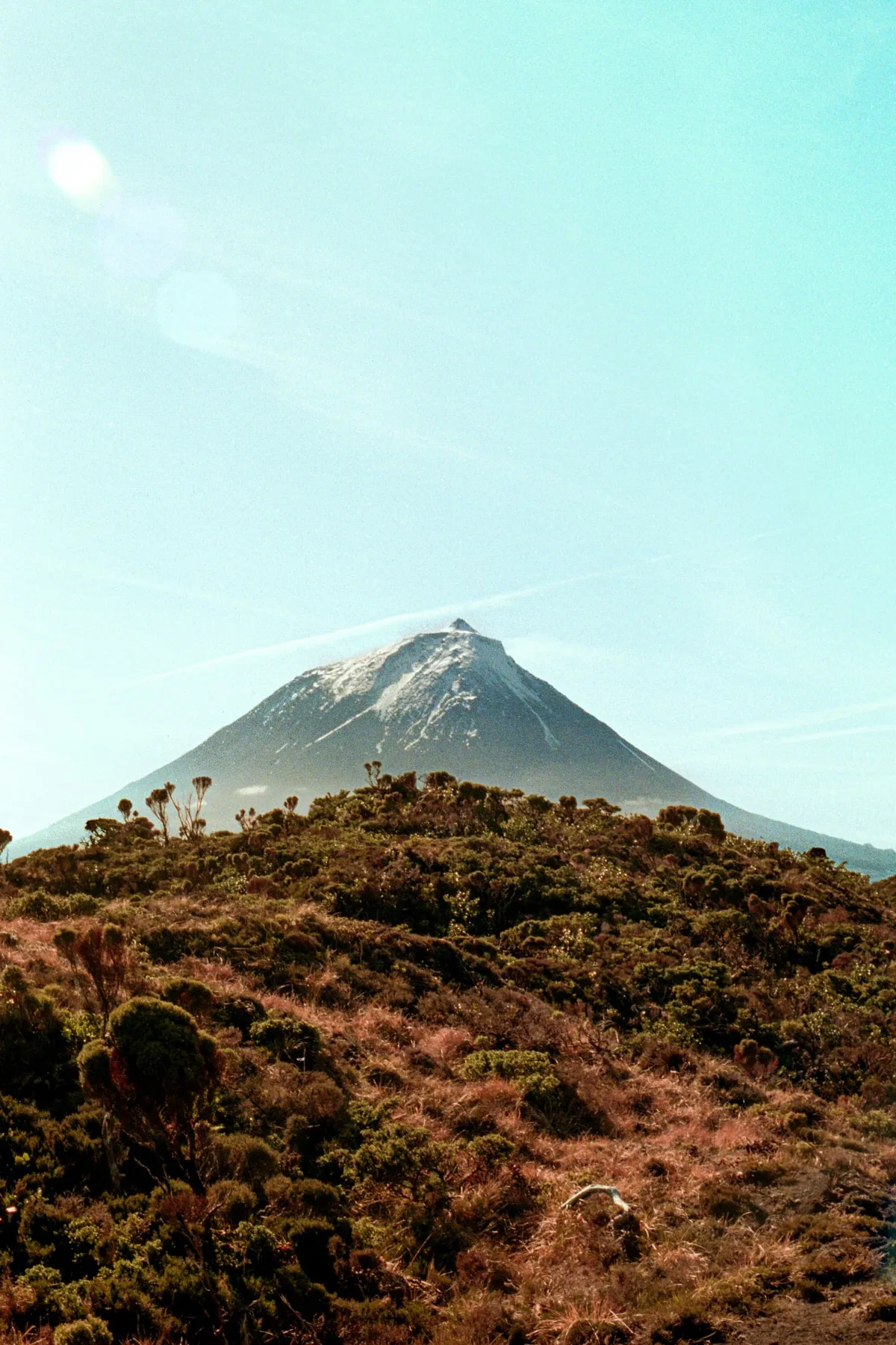 Pico aux Açores : 8 activités à découvrir