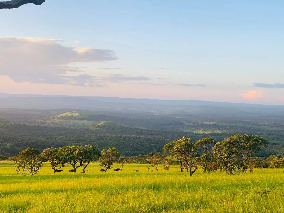 Quand partir au Burundi ? Climat équatorial, saisons sèches/pluies… le meilleur mois selon ton séjour