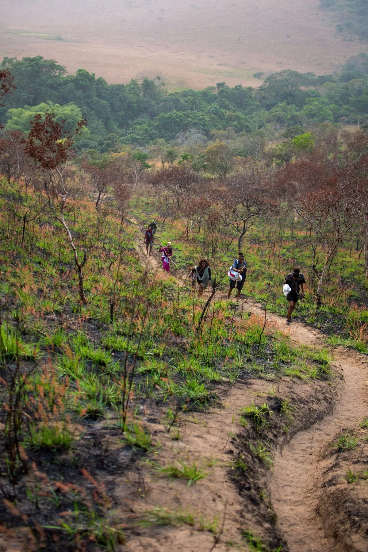 Quand partir en République du Congo ? Climat équatorial, saisons des pluies… mois par mois