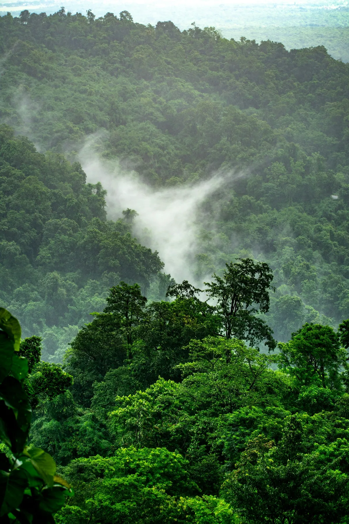 Quand partir au Gabon ? Climat équatorial, pluies, saisons… le meilleur mois selon ta région